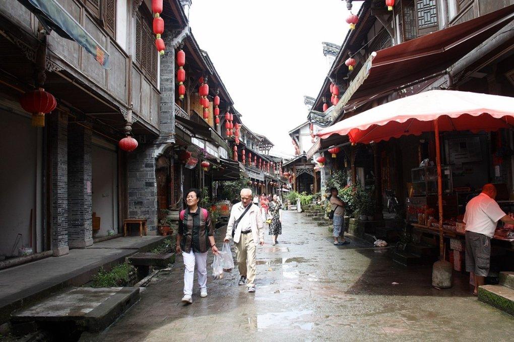 饥饿的哈利